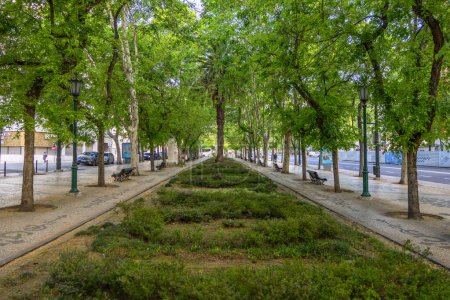 Ruhige Aussicht auf den Baumweg an der avenida da da liberdade, Lissabon, an einem sonnigen Tag