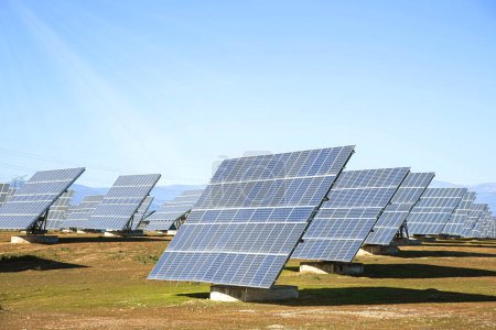 Los paneles solares están en el campo. El tema es una fuente de energía alternativa.