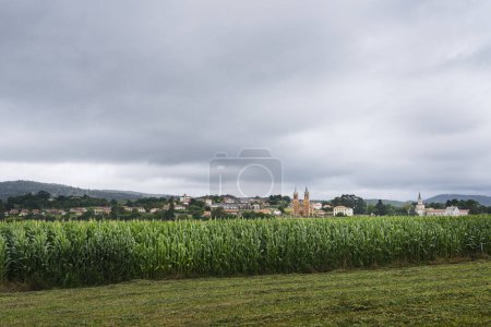 Photo for View of a corn plantation with the Cantabrian village of Novales in the background with its neo-Gothic church of San Pedro. - Royalty Free Image