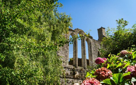 Teilansicht der Ruinen der Abtei von Beauport in der französischen Gemeinde Paimpol, mit blauem Himmel und sonnigem Tag.