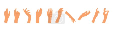 Photo for Poses of female hands set. Gesturing. People's hands in different positions. Human palms and wrist. Vector illustration in cartoon style. Isolated on white background. - Royalty Free Image
