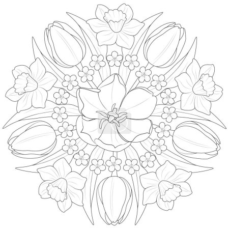 Illustration for Mandala of spring flowers. Tulips, daffodils and forgetmenots in black and white. Round pattern Coloring page for kids and adults. Vector illustration - Royalty Free Image