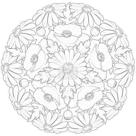 Ilustración de Mandala de flores de primavera. manzanillas, amapolas en blanco y negro. Patrón redondo para colorear página para niños y adultos. Ilustración vectorial - Imagen libre de derechos