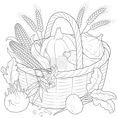 Illustration for Autumn Harvest Basket black and white vector illustration. Corn, ears of wheat, basket, beets, turnips, pumpkin, squash, kohlrabi. Coloring page for kids and adults. - Royalty Free Image