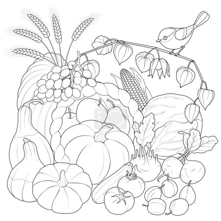 Illustration for Autumn Harvest vegetables and fruits with bird. black and white vector illustration. Coloring page for kids and adults. Vector illustration - Royalty Free Image