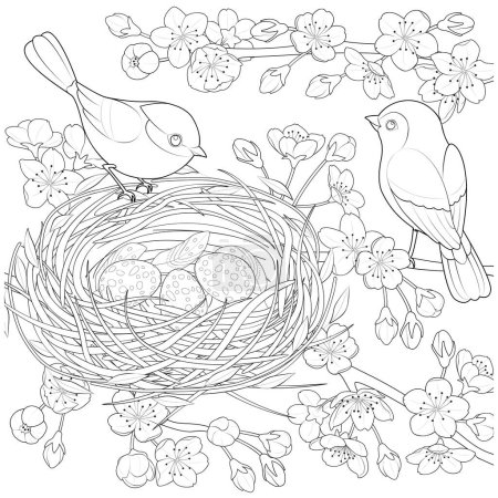 Family birds in a nest, in the branches of a blooming apple tree. Coloring page for kids and adults. Page for relaxation and meditation. Vector contour illustration.