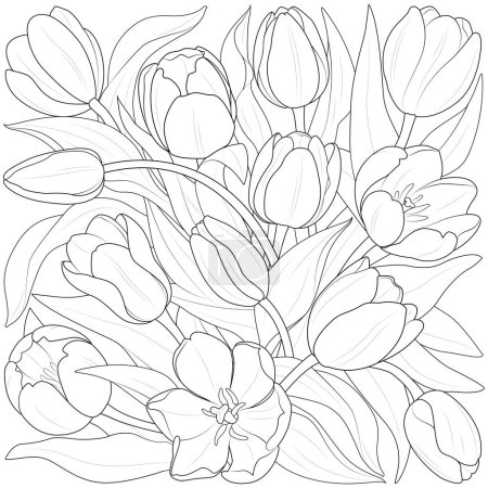 Illustration for Tulips botanical background. vintage boho style for Coloring page, wall art, fabric, wedding invitation, cover design Black and white. Floral line art. Vector illustration. - Royalty Free Image