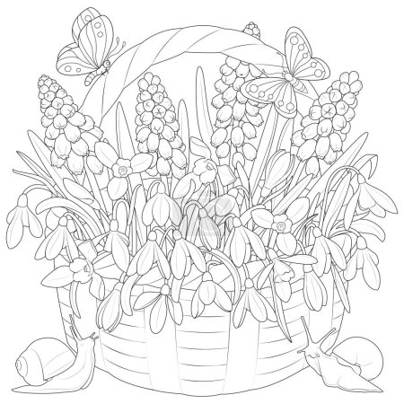 Ilustración de Basket with spring flowers. Snowdrops, muscari. Butterflies and snails. Black and white. Art therapy Coloring page for kids and adults. Vector illustration - Imagen libre de derechos