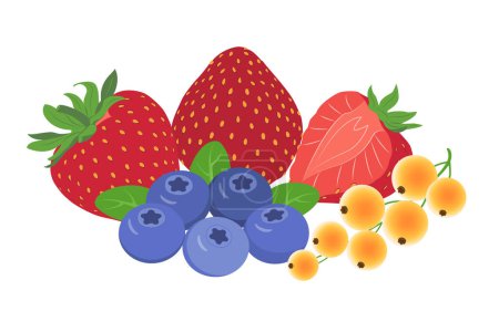 Forest fruits and berries isolated on white. Strawberry, white currant, blueberry. Vector illustration