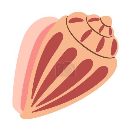 Hand drawn Cone Seashell. Cartoon style flat illustration seashell isolated on white background. Vector illustration