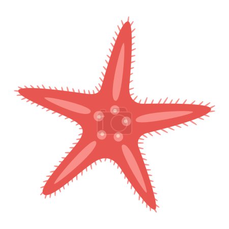Starfish flat style. Red Starfish icon. Sea animal cartoon style. Echinoderm. Underwater Marine icon Isolated on white background. Summer vector illustration