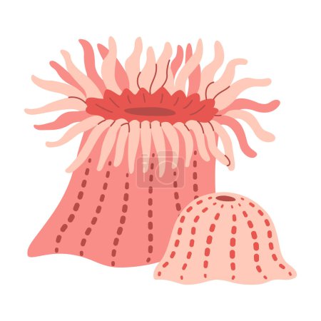 Anémonas marinas dibujadas a mano. Actiniaria rosa. Arrecife de coral exótico vida natural bajo el agua. Ilustración plana moderna. Ilustración vectorial