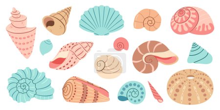 Sea shell cartoon set. Ocean exotic underwater seashell conch aquatic mollusk, sea spiral snail collection. Tropical beach shells. Modern flat style isolated on white background. Vector illustration 