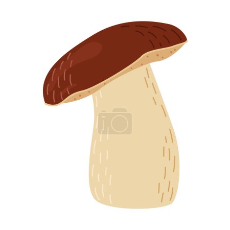 Porcini forest mushroom. Hand drawn boletus edulis fungus. Porcini fresh edible mushrooms cartoon style decor element. Cep. King bolete on white background. Penny bun Vector illustration