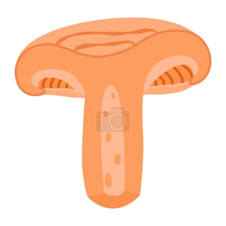 Saffron milk cap chopped mushroom. Edible forest mushroom flat icon. Hand Drawn delicious milk cap cartoon style. Red pine mushroom Isolated on white background. Vector illustration