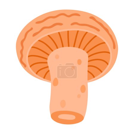 Saffron milk cap. Edible forest mushroom flat icon. Hand Drawn delicious milk cap cartoon style. Fungus Group Engraved. Red pine mushroom Isolated on white background. Vector illustration