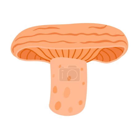 Saffron milk cap. Edible forest mushroom flat icon. Hand Drawn delicious milk cap cartoon style. Fungus Group Engraved. Red pine mushroom Isolated on white background. Vector illustration
