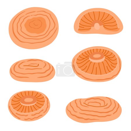 Saffron milk cap set. Edible forest mushroom flat icon. Hand Drawn delicious milk cap cartoon style. Fungus Group Engraved. Red pine mushroom Isolated on white background. Vector illustration