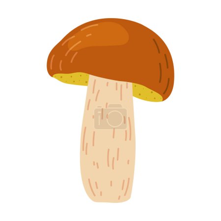 Suillus mushroom. Edible fungus. Hand drawn Cartoon trendy flat style isolated on white background. Autumn forest harvest, healthy organic food, vegetarian food. Vector illustration