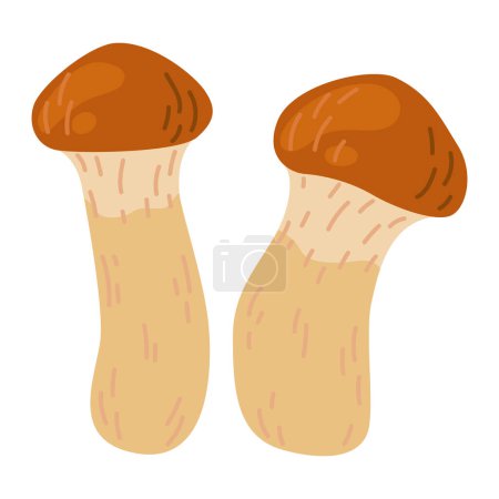 Suillus small mushrooms. Edible fungus. Hand drawn Cartoon trendy flat style isolated on white background. Autumn forest harvest, healthy organic food, vegetarian food. Vector illustration