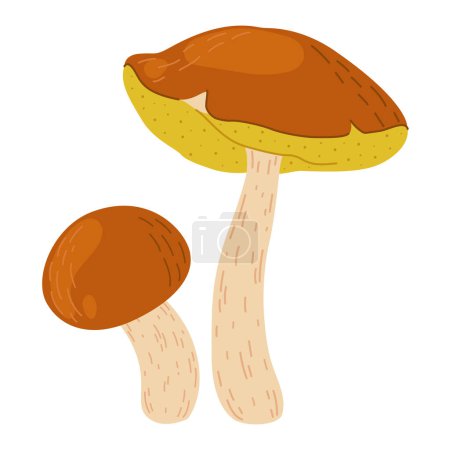 Suillus mushrooms. Edible fungus. Hand drawn Cartoon trendy flat style isolated on white background. Autumn forest harvest, healthy organic food, vegetarian food. Vector illustration
