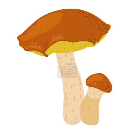 Suillus-Pilze. Essbarer Pilz. Handgezeichneter Cartoon trendiger flacher Stil isoliert auf weißem Hintergrund. Herbst-Waldernte, gesunde Biolebensmittel, vegetarische Kost. Vektorillustration