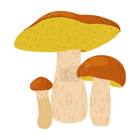 Suillus mushrooms. Edible fungus. Hand drawn Cartoon trendy flat style isolated on white background. Autumn forest harvest, healthy organic food, vegetarian food. Vector illustration
