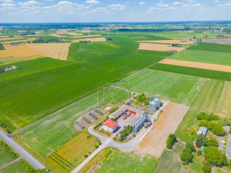 Foto de Vista aérea de la granja, graneros rojos, campo de maíz en septiembre. Temporada de cosecha. Paisaje rural, campo americano. Mañana soleada - Imagen libre de derechos