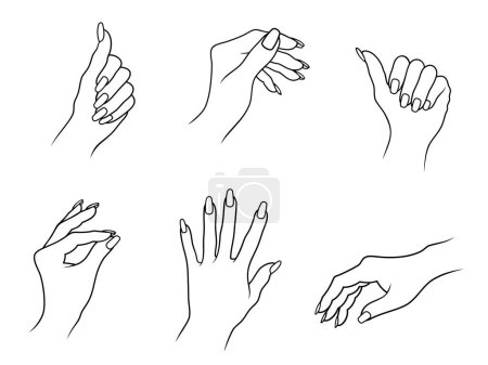 Vektor-Illustration von Umrissen verschiedener weiblicher Handflächen mit Nägeln, isoliert, auf weißem Hintergrund.
