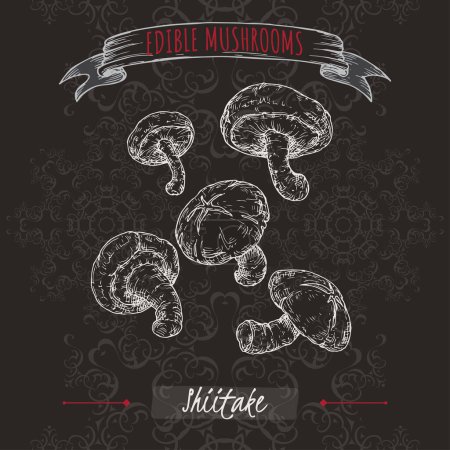 Illustration for Lentinula edodes aka shiitake sketch on black background. Edible mushrooms series. Great for cooking, traditional medicine, gardening. - Royalty Free Image