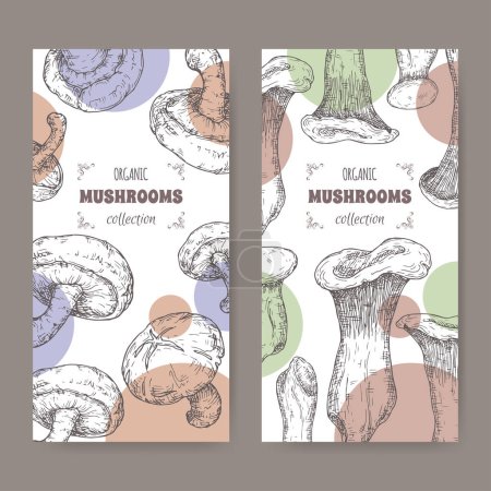 Illustration for Two labels with Lentinula edodes aka shiitake and Pleurotus eryngii aka king oyster mushroom sketch. Edible mushrooms series. Great for cooking, traditional medicine, gardening. - Royalty Free Image