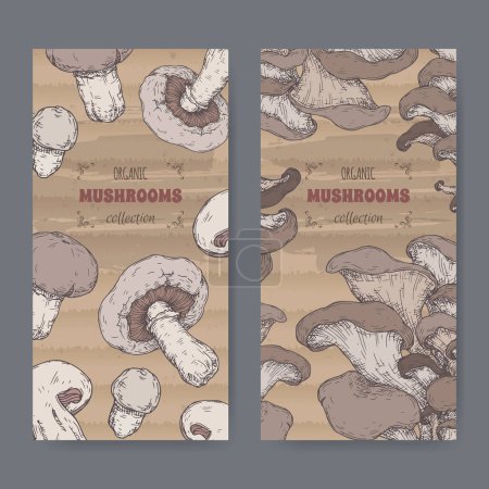 Two labels with Agaricus bisporus aka common mushroom and Pleurotus ostreatus aka oyster mushroom color sketch. Edible mushrooms series. Great for cooking, traditional medicine, gardening.