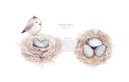 Photo for Watercolor happt easter nest with bird eggs with branch and feather. Spring hand drawn illustration. Boho egg ans feather nests wreath. Holiday decoration - Royalty Free Image