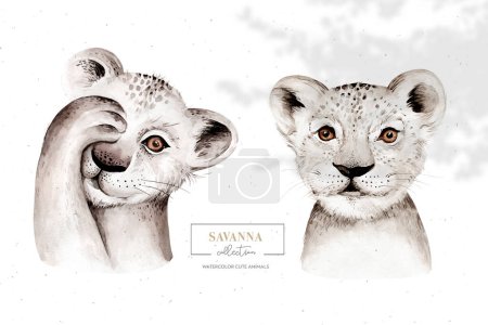 Afrique aquarelle savane lion, illustration animale. Safari africain chat sauvage mignon animaux exotiques visage portrait caractère. Isolé sur affiche blanche, design invitation