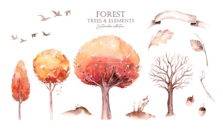 Foto de Conjunto de árboles de otoño acuarela. Otoño mano dibujado amarillo bosque naranja fondo ilustración fondo. - Imagen libre de derechos