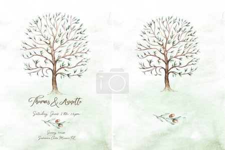 Téléchargez les photos : An old bountiful olive tree extracted, hand drawn - watercolor Illustration - en image libre de droit