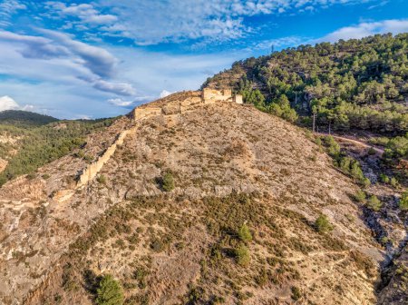 Luftaufnahme der Stadt Pliego und der mittelalterlichen Burg in Südspanien, zerstörte Mauern aus gerammter Erde arabischen Ursprungs