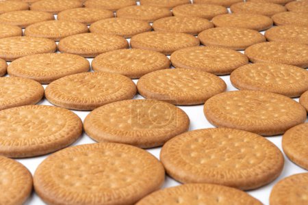 A lot of Maria biscuits on a white background. 