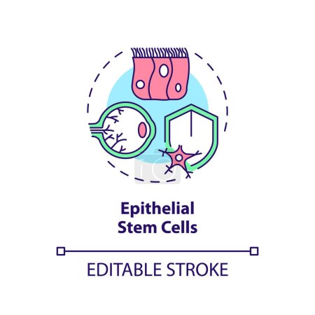 Illustration for 2D editable multicolor epithelial stem cells icon, simple isolated vector, thin line illustration representing cell therapy. - Royalty Free Image