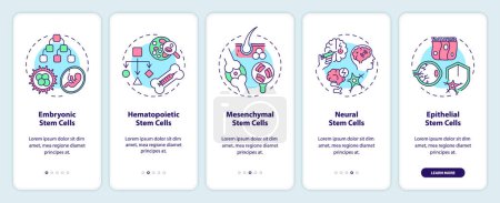Illustration for 2D icons representing types of stem cell mobile app screen set. Walkthrough 5 steps multicolor graphic instructions with linear icons concept, UI, UX, GUI template. - Royalty Free Image