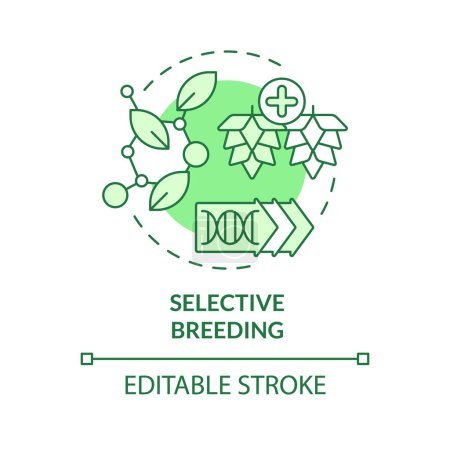 Selective breeding green concept icon. Seed modification, artificial selection. Synthetic biology. Round shape line illustration. Abstract idea. Graphic design. Easy to use in article, blog post