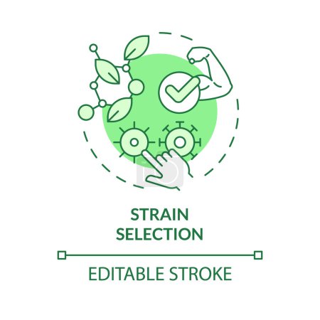 Strain selection green concept icon. Selective agriculture, seed modification. Genetic modification. Round shape line illustration. Abstract idea. Graphic design. Easy to use in blog post
