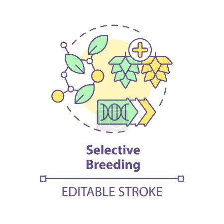 Selective breeding multi color concept icon. Seed modification, artificial selection. Round shape line illustration. Abstract idea. Graphic design. Easy to use in article, blog post