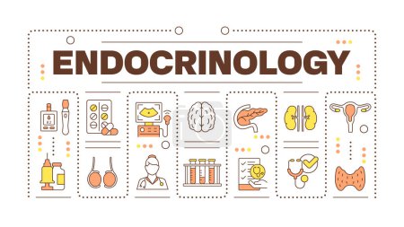 Endocrinology word concept isolated on white. Endocrine system checkup. Diabetes management. Creative illustration banner surrounded by editable line colorful icons. Hubot Sans font used