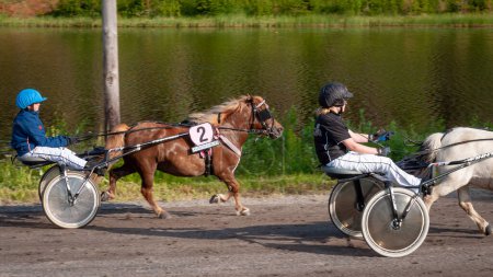 Foto de Puumala, Finlandia - 30 de junio de 2023: Las carreras de arneses de burros. La competición de la sociedad local de los amantes de los caballos.En el arnés - el pony. Las emociones de las personas y los caballos se acercan - Imagen libre de derechos