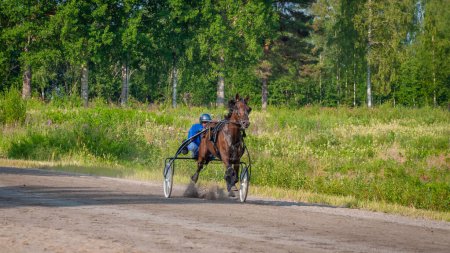 Foto de Puumala, Finlandia - 30 de junio de 2023: Las carreras de arneses de burros. La competición de la sociedad local de los amantes de los caballos.En el arnés - el pony. Las emociones de las personas y los caballos se acercan - Imagen libre de derechos