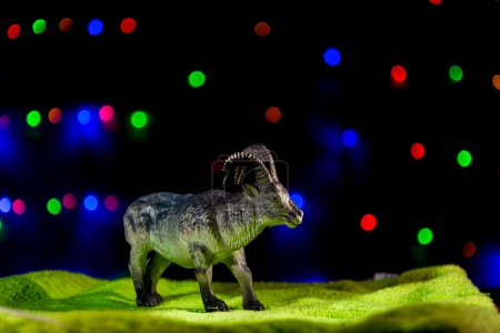 Animal toy photography with bokhe lights