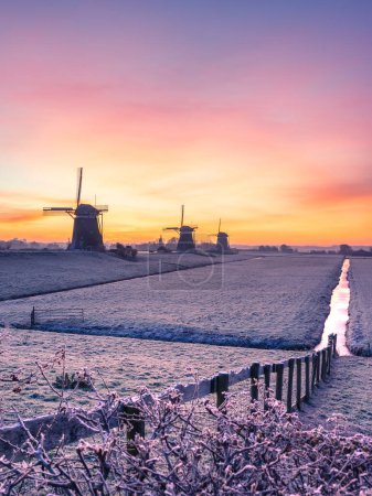 Téléchargez les photos : The three windmills at Stompwijk in The Netherlands. During a verg cold morning, but with a beautiful sunrise. - en image libre de droit