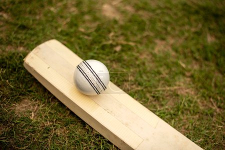 Foto de Bate de cricket y pelota en el campo de juego de hierba - Imagen libre de derechos