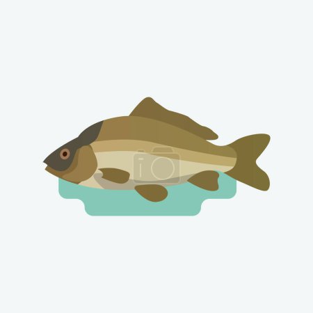 Cyprinus, carps fish. Flat style illustration.